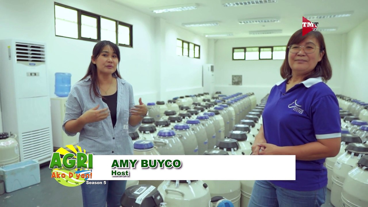 HOW NOW? KALABAW - PCC Semen Bank