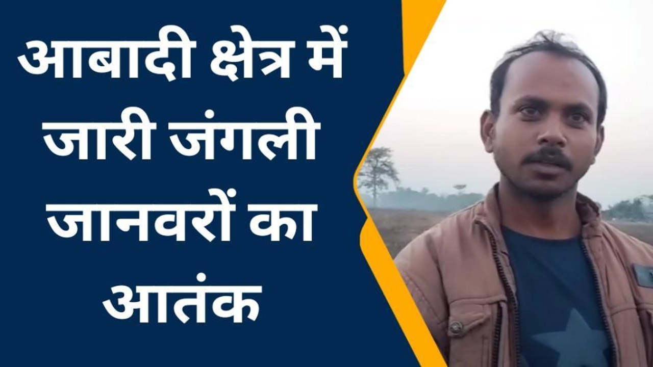 बहराइच: लगातार बढ़ती जंगली जानवरों की दहशत, आबा...