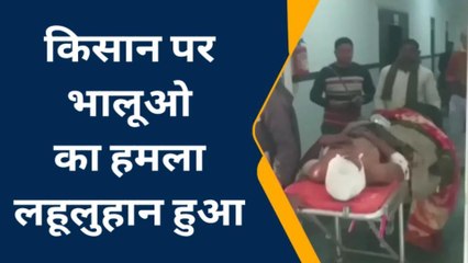छतरपुर: खेत मे काम कर रहे किसान पर भालुओं ने किया हमला,गंभीर हालत में भर्ती