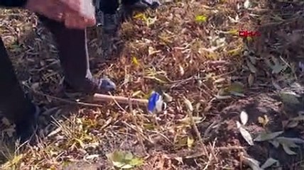 Nuh'un Gemisi Ağrı'da mı değil mi? Tartışmaları bitirecek araştırma