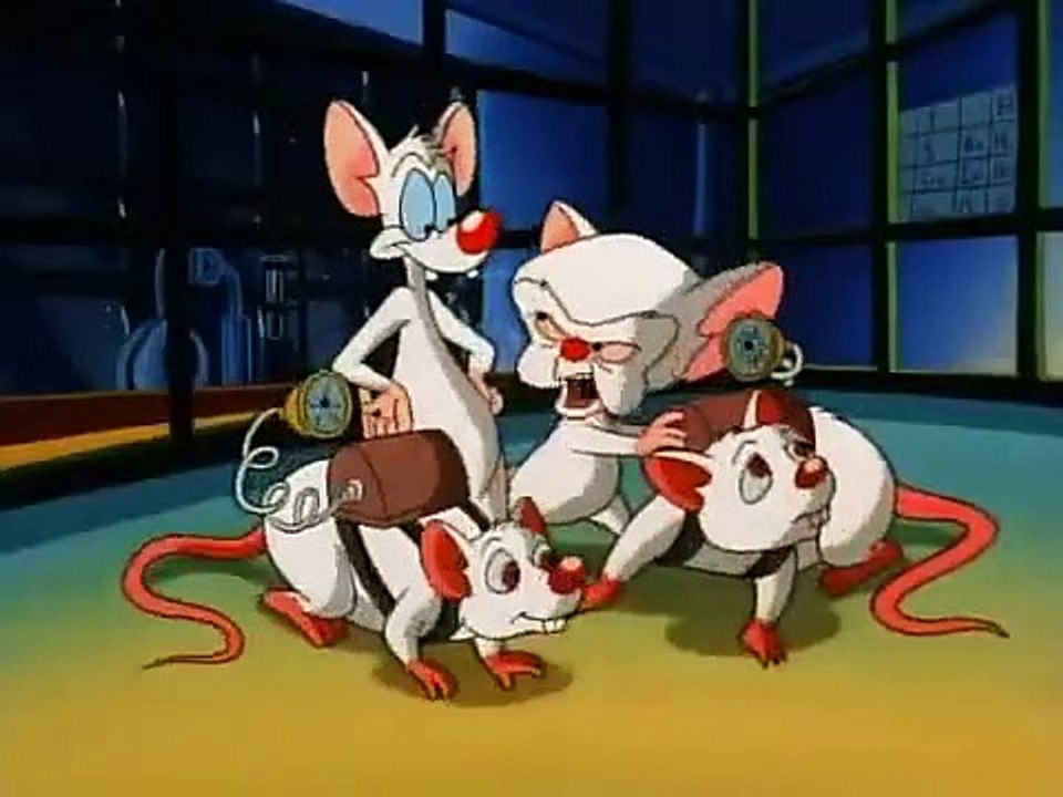 Pinky and the Brain - Se1 - Ep19 HD Watch HD Deutsch