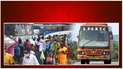 AP ప్రయాణికులకు గుడ్‌న్యూస్ సంక్రాంతి పండక్కి 6400 ప్రత్యేక బస్సులు *Andhrapradesh | Telugu OneIndia