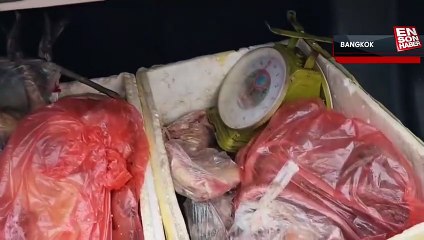 Tayland'da bir kadının aracından 68 kaçak hayvan cesedi çıktı