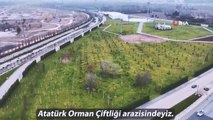 Doğal Yaşam ve Atatürk Çocukları Parkı'nın yapımı sürüyor