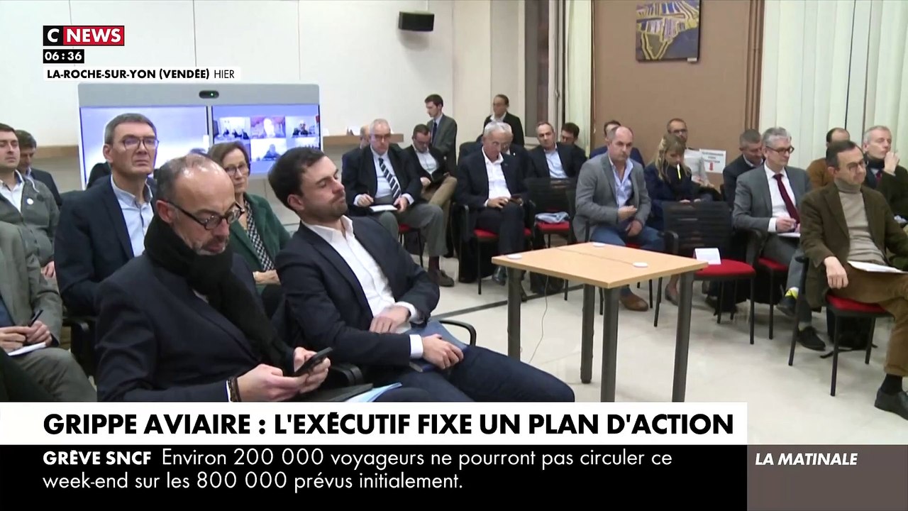 Grippe aviaire: Face à une épizootie catastroph...