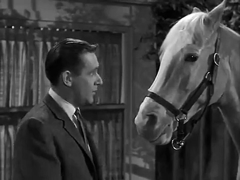 Mister Ed - Se2 - Ep25 HD Watch HD Deutsch