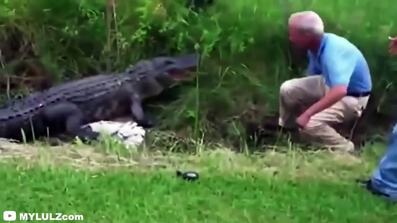 30 Scariest Crocodile Encounters of the Year (Part 2)