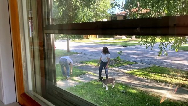 PBS American Portrait - Se1 - Ep01 - I Dream HD Watch HD Deutsch