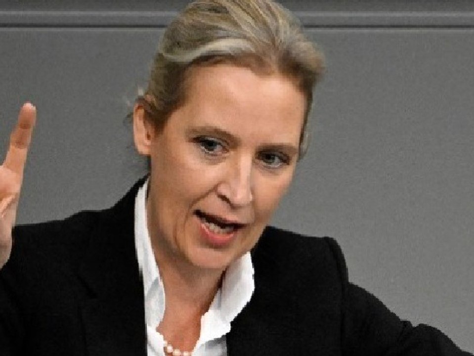 AfD-Chefin Weidel lobt Twitter-Kurs von Elon Musk