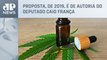 Alesp aprova projeto que autoriza uso de medicamentos à base de cannabis