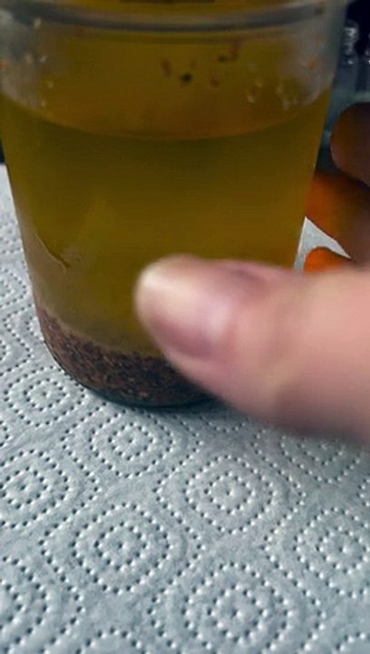 Sanddorn Gesichtsöl im Glas