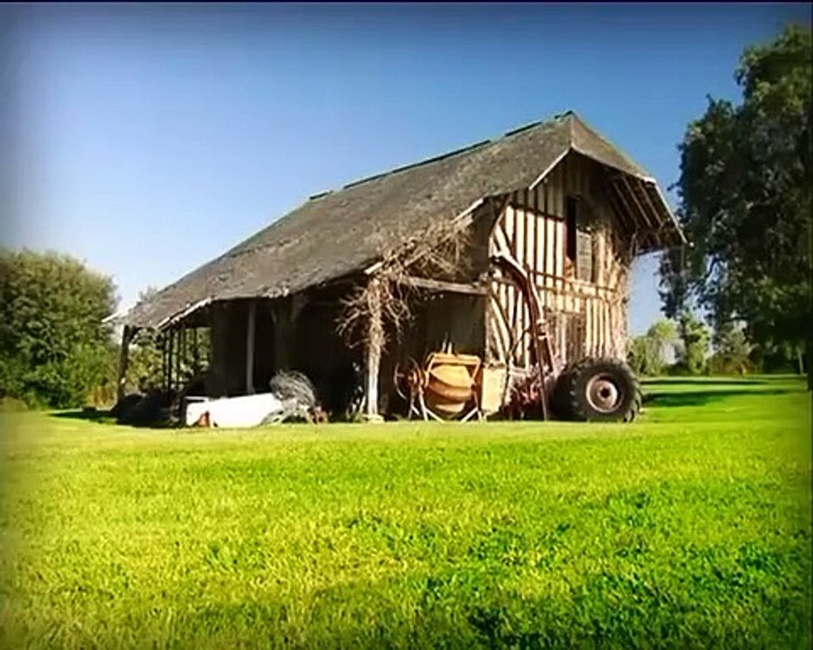 Minuscule - Se4 - Ep03 HD Watch HD Deutsch