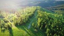 Forest Drone Shot No Copyright | Forest Background Video Free | Free Stock Footage | Romance Post BD