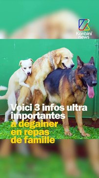 À tous ceux qui détestent Noël !