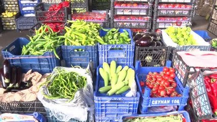 İstanbul'da meyve ve sebze ürünlerinde bolluk yaşanıyor