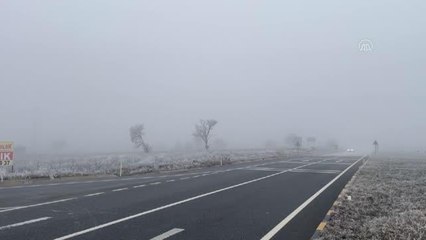 Kastamonu'da sis etkili oldu