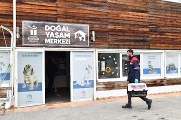 ESKİŞEHİR'DE ÇUVALDA BULUNAN YAVRU KÖPEKLER KORUMAYA ALINDI