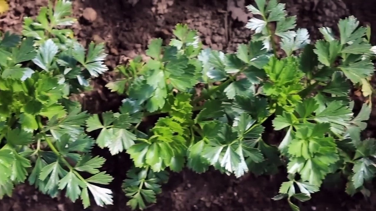 11 बहुत कमाल के किचन टिप्स जो पहले नहीं देखा होगा amazing kitchen tips and tricks_cooking tips,hacks