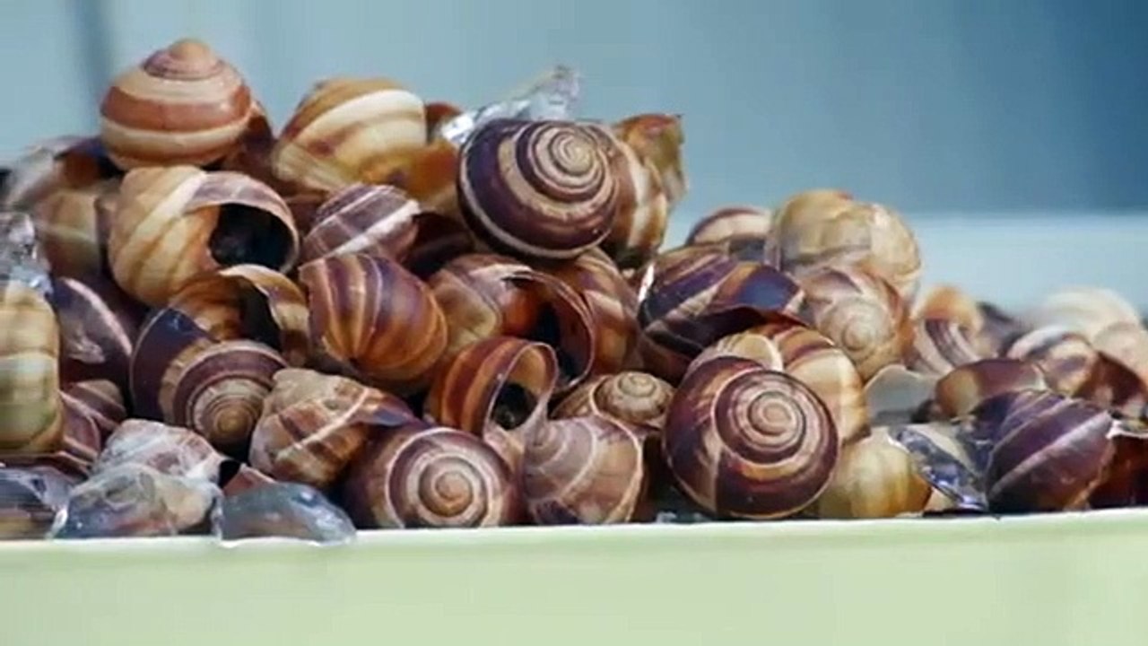 Fire Masters - Se4 - Ep01 HD Watch HD Deutsch