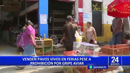 Download Video: SMP: venden pavos vivos en mercado de Caquetá pese a prohibición por gripe aviar