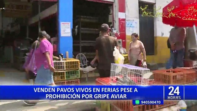 SMP: venden pavos vivos en mercado de Caquetá pese a prohibición por gripe aviar
