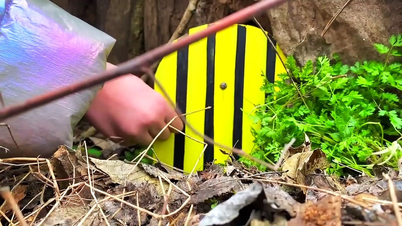 Baby Cats Cute