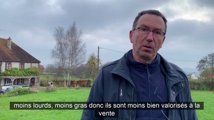 « J'ai investi dans un atelier de découpe pour valoriser mon système extensif »