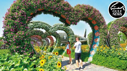 Dubai Miracle Garden: Inside the world's largest natural flower garden