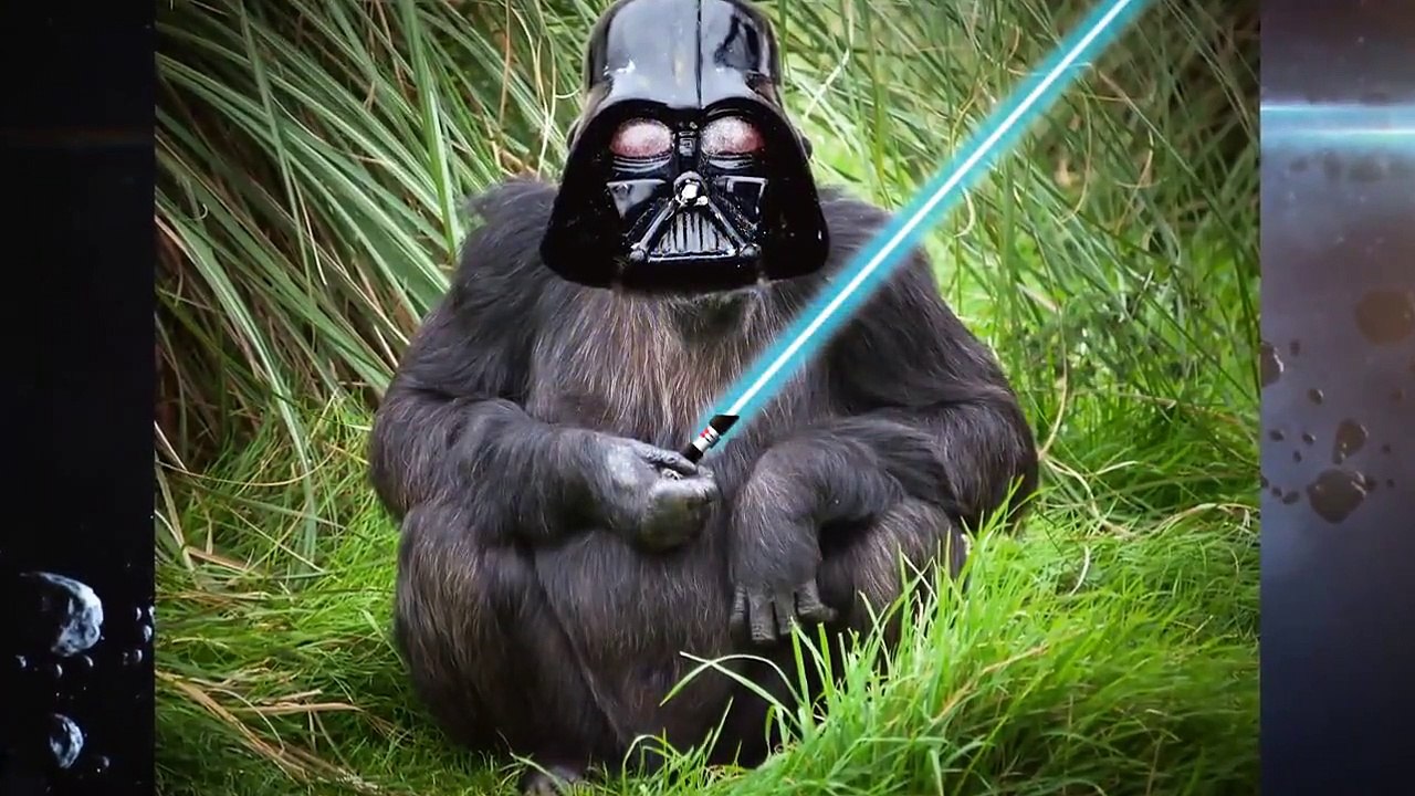 StarTalk with Neil deGrasse Tyson - Se4 - Ep03 HD Watch HD Deutsch