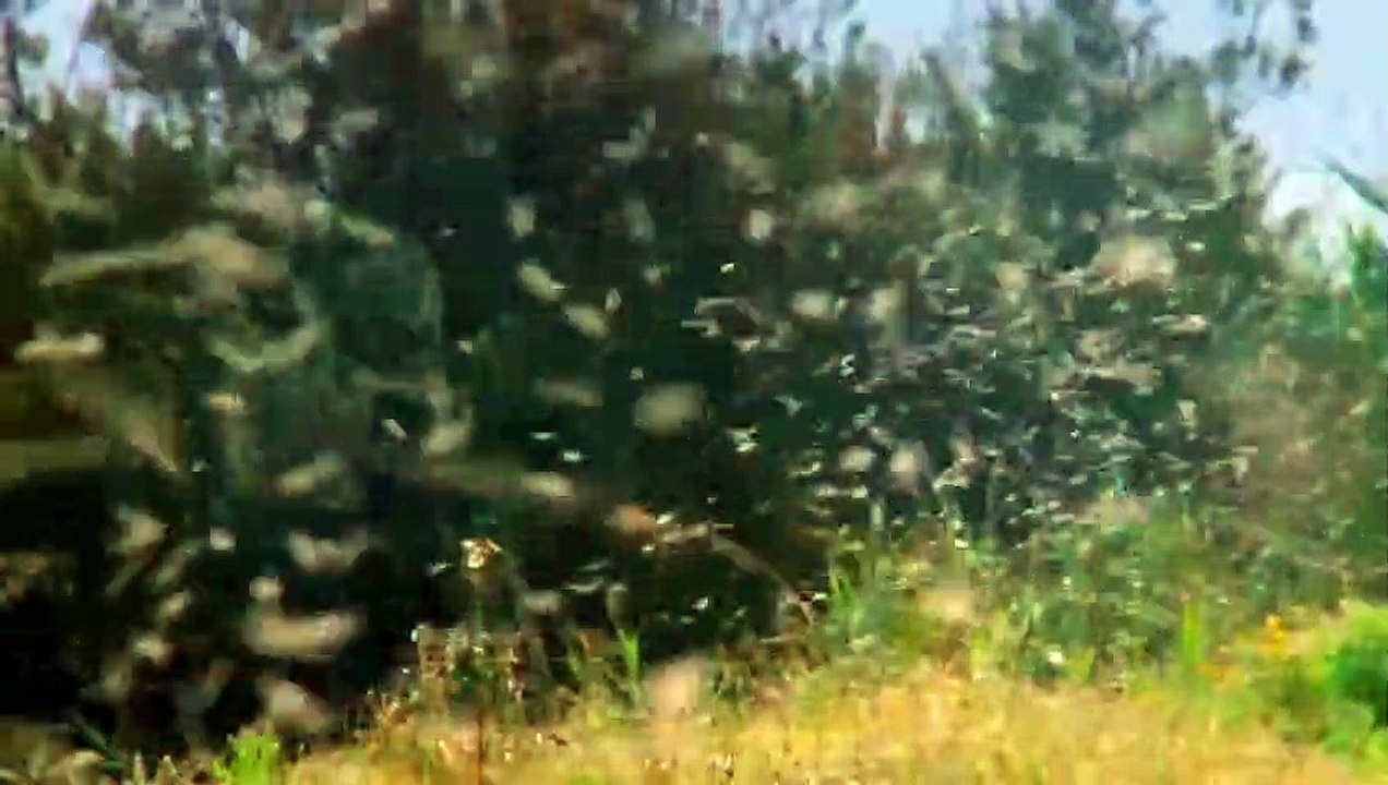 Strange Evidence - Se4 - Ep04 HD Watch HD Deutsch