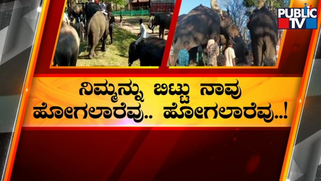 Karnataka Shifts 13 Elephants In Batches To Madhya Pradesh | Public TV