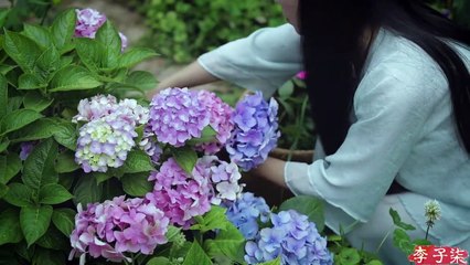 Cuộc sống bình yên  12