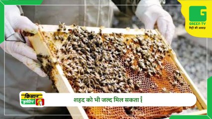 Kisan Bulletin 23 December 2022 - तमिलनाडु के किसान ने उगाया 60 किलो का विशाल जिमीकंद | PNB ने किसान दिवस पर दिया किसानों को तोहफा