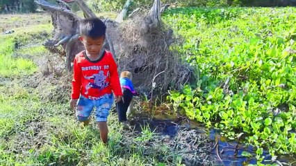 Great Help Fishing Catfish & Carry Back Home, Best Fishing