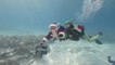 Santa Claus Dives Among Fish Ahead of Christmas Day