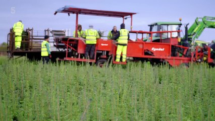 Secret Life of the Forest - Se1 - Ep04 HD Watch HD Deutsch