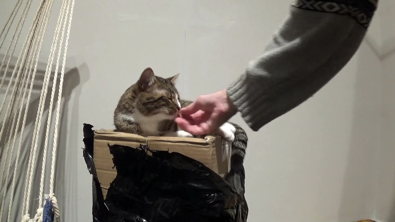 I Won't Let U Open the Package
