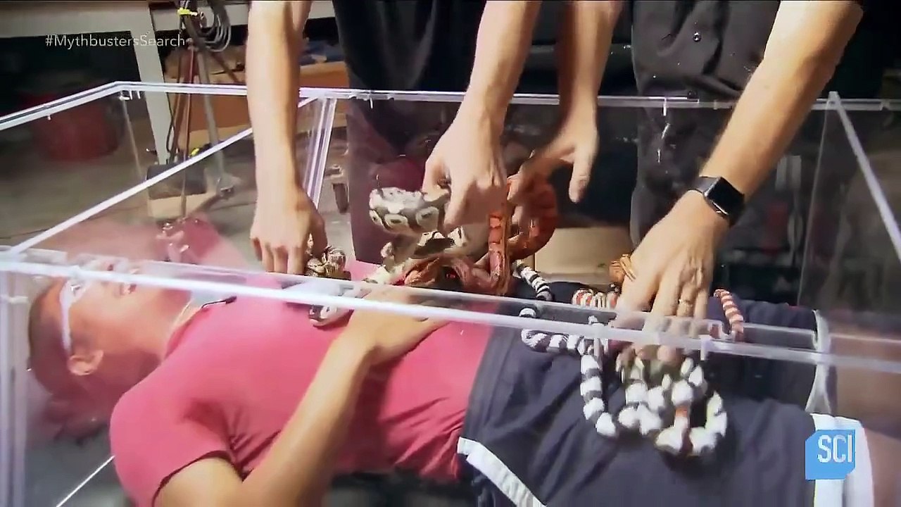 MythBusters - The Search - Se1 - Ep07 - Return of the Spy Car HD Watch HD Deutsch