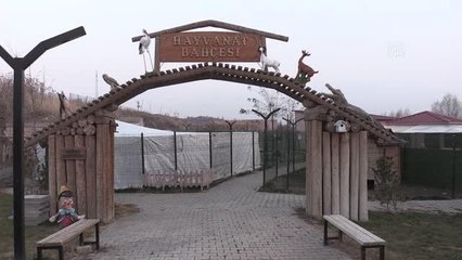 Muş'ta yaralı halde bulunan yaban keçisi tedavi altına alındı