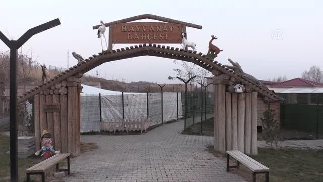 Muş'ta yaralı halde bulunan yaban keçisi tedavi altına alındı