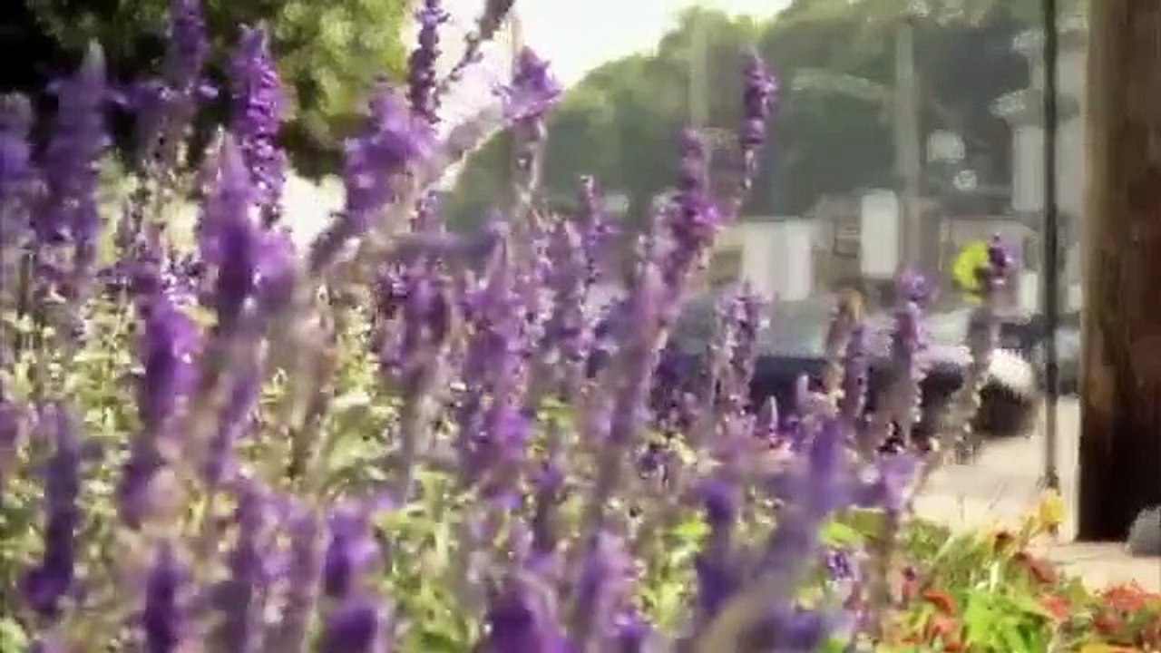 Long Island Medium - Se12 - Ep04 - Weight-shaming Victoria HD Watch HD Deutsch