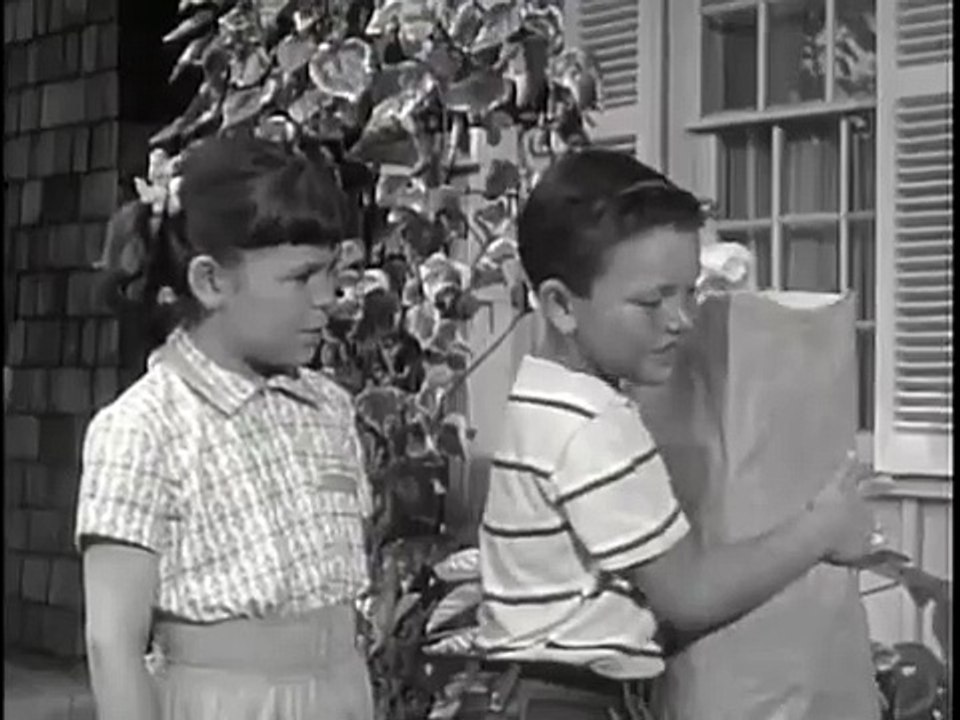 Father Knows Best - Se2 - Ep06 HD Watch HD Deutsch