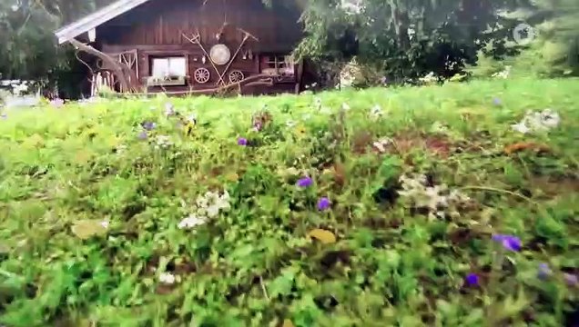 Sturm der Liebe 3953 folge