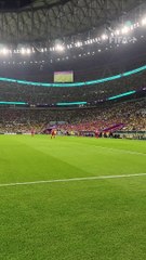 Dünya Kupası'nın en güzel golü Richarlison'dan