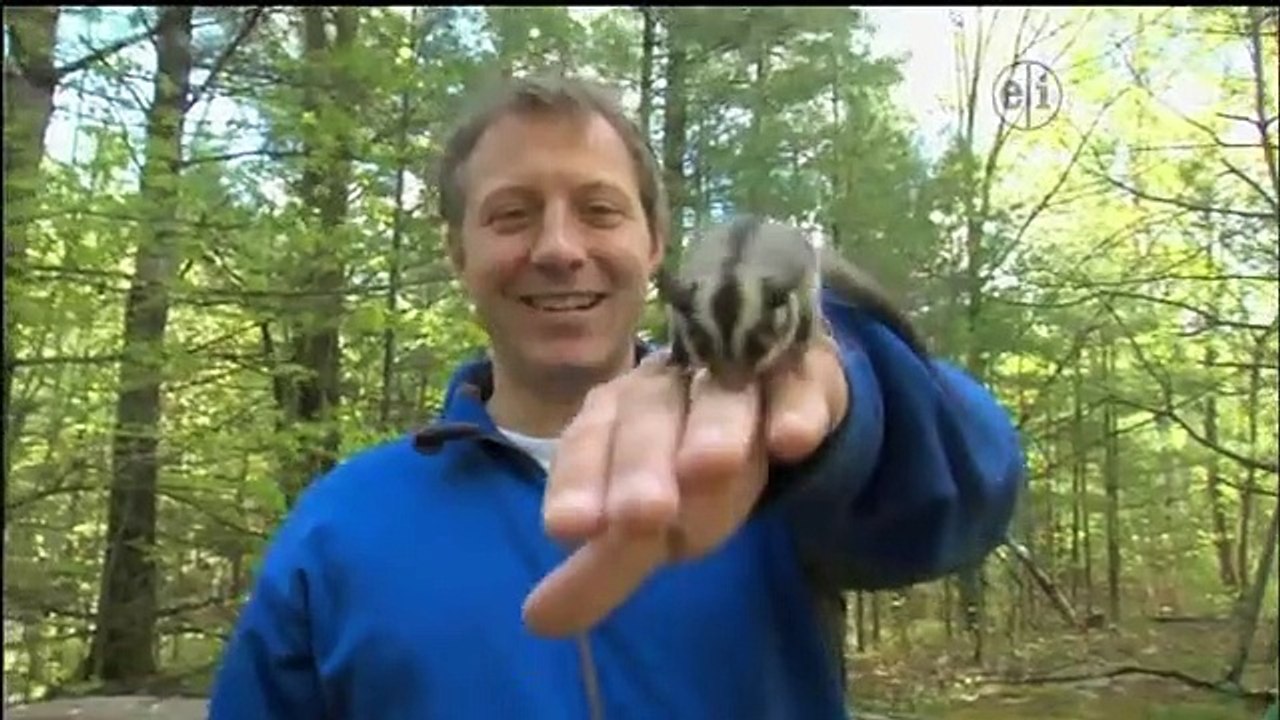 Wild Kratts - Se1 - Ep39 HD Watch HD Deutsch