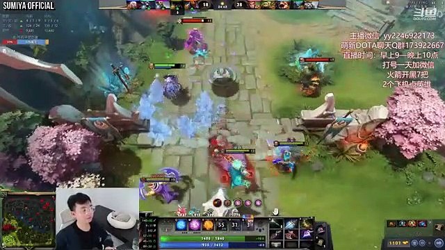 WTF Game vs 46 Winning Streak Streamer Party | Sumiya Invoker Stream Moment 3386