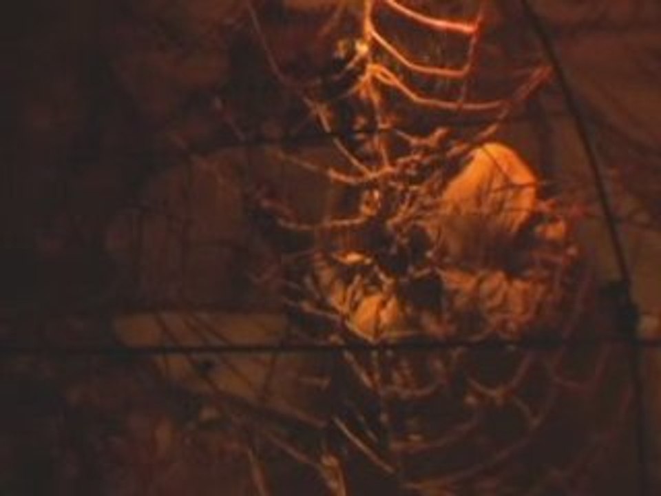 Extrait ''Les Griots du Boss''