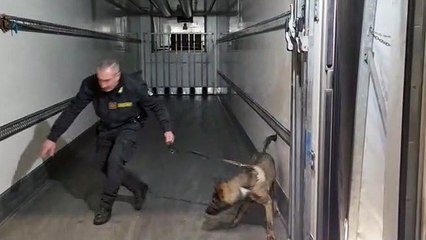 Dieci KG di cocaina nel rimorchio. Arrestato a Olbia