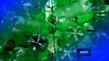 Christmas tree na gawa sa libu-libong recycled plastic bottles, binuo para magbigay-kaalaman sa kahalagahan ng kalikasan | Saksi