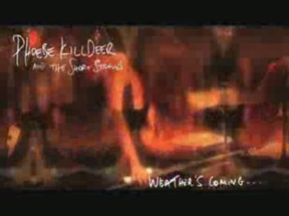 PHOEBEE KILLDEER PUB TV